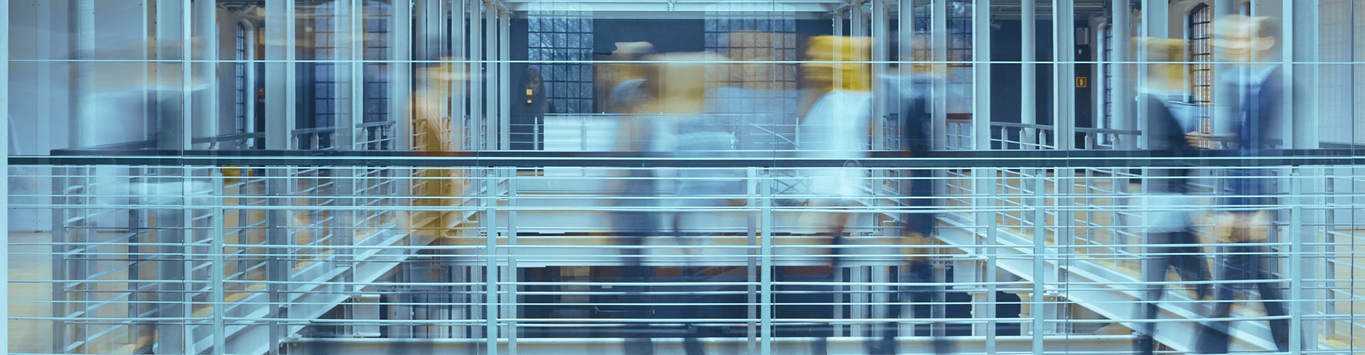 Government & Non-Profit